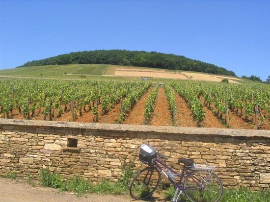 Le Couvent Des Climats *